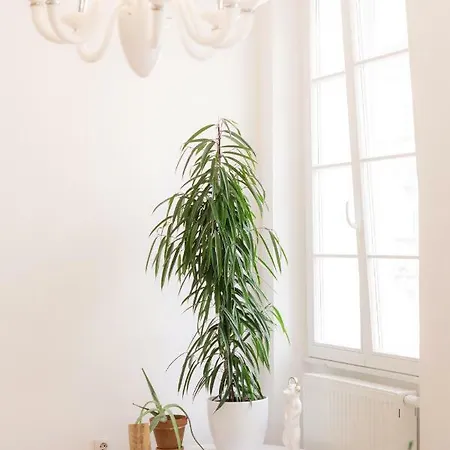 Gosposvetska Apartment Ljubljana